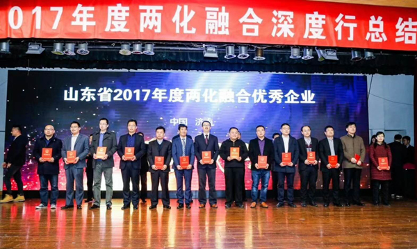 热烈祝贺我集团被评为山东省2017年度两化融合优秀企业